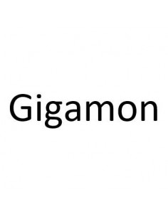 Gigamon PRT-438 10GigaPORT-8X USED